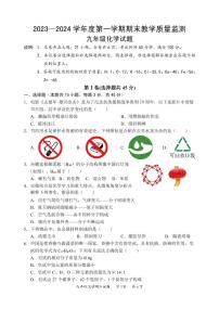 2024年惠州市惠阳区九年级上学期期末考试化学试题及答案