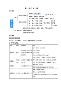 《盐  化肥》（知识清单）-九年级化学下册同步备课系列（人教版）