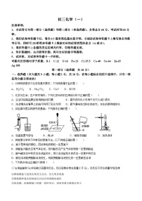 2024年陕西省西安交通大学附属中学中考一模化学试题