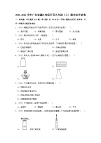 2023-2024学年广东省湛江市经开区九年级（上）期末化学试卷