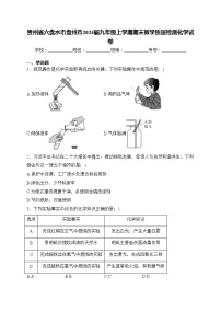 贵州省六盘水市盘州市2024届九年级上学期期末教学质量检测化学试卷(含答案)