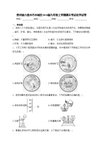 贵州省六盘水市水城区2024届九年级上学期期末考试化学试卷(含答案)