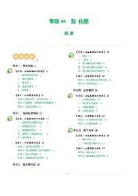 专题08+盐 化肥（讲义）-2024年中考化学一轮复习讲义+测试+练习+课件（全国通用）