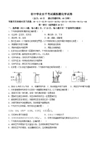 38，陕西省宝鸡市两校开学摸底联考2023-2024学年九年级上学期开学化学试题()