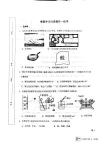 山东省泰安市岱岳区开元中学2023-2024学年九年级下学期开学化学试题