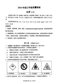 2023-2024学年广东省深圳市九年级下学期2月份质量检测（33校联考）化学试卷及答案