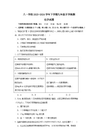 安徽省滁州市定远县八一学校2023-2024学年九年级下学期开学检测化学试题