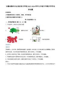 安徽省滁州市定远县育才学校2023-2024学年九年级下学期开学考化学试题