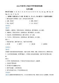 河南省周口市商水县2023-2024学年九年级下学期开学学情检测化学试题