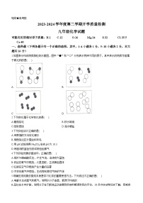 山东省济宁市汶上县第一实验中学2023-2024学年九年级下学期开学化学试题()