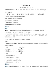 山东省潍坊市昌邑市2023-2024学年九年级下学期开学化学试题
