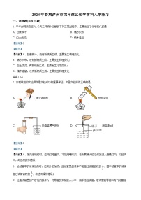 四川省泸州市龙马潭区2023-2024学年九年级下学期开学化学试题