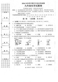 广西河池市罗城仫佬族自治县2023-2024学年九年级下学期开学适应性检测化学试卷