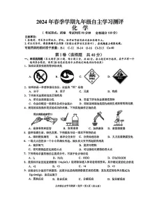 广西南宁市第十四中学2023--2024学年九年级下学期开学考试化学试卷