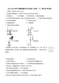 2023-2024学年安徽省滁州市定远县九年级（上）期末化学试卷（含解析）