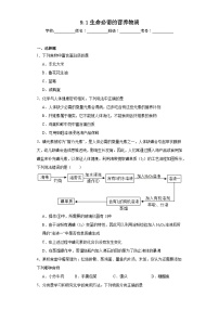 初中化学仁爱版九年级 下册单元1 生命必需的营养物质课堂检测