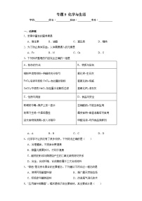 仁爱版九年级 下册专题9 化学与生活课后测评