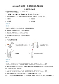 河北省邯郸市经开区2023-2024学年九年级上学期期末化学试卷