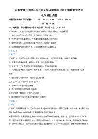 山东省德州市临邑县2023-2024学年九年级上学期期末模拟考试化学试题