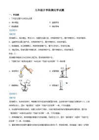 124，山东省德州市齐河县马集乡中学2023-2024学年九年级下学期开学摸底考试化学试题