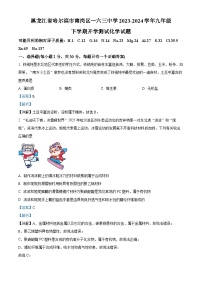 146，黑龙江省哈尔滨市南岗区第一六三中学2023—2024学年下学期九年级开学测试综合试卷-初中化学