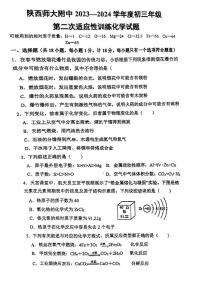 94，2024年陕西省西安市陕西师范大学附属中学中考二模化学试题