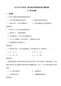 2024年中考化学二轮冲刺考前基础巩固专题训练29 常见的碱答案