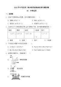 2024年中考化学二轮冲刺考前基础巩固专题训练30  中和反应