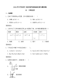 2024年中考化学二轮冲刺考前基础巩固专题训练30  中和反应