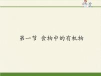 初中化学鲁教版九年级下册第一节  食物中的有机物教课课件ppt