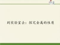 初中化学鲁教版九年级下册第九单元  金属到实验室去 探究金属的性质多媒体教学课件ppt