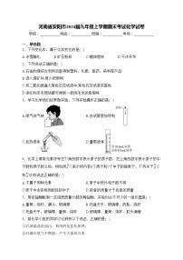 河南省安阳市2024届九年级上学期期末考试化学试卷(含答案)