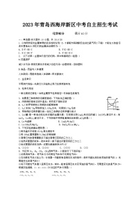 2023年青岛西海岸新区中考自主招生化学模拟题