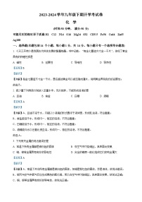 河南省周口市沈丘县中英文学校2023-2024学年九年级下学期开学化学试题