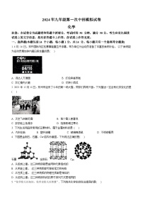 2024年河南省驻马店市西平县中考一模化学试题