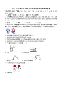 黑龙江省哈尔滨市第四十七中学2023-2024学年九年级下学期开学测试化学试题