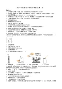 2024年安徽省中考模拟化学试题（十）