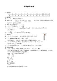 2024年河南省驻马店市西平县中考一模化学试题(1)