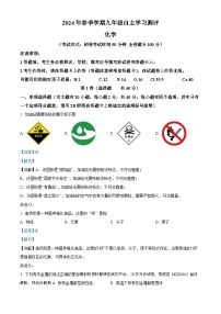 广西南宁市第十四中学2023--2024学年九年级下学期开学考试化学试卷
