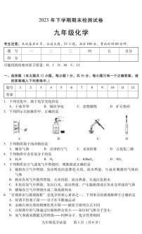 湖南省衡阳市常宁市2023-2024学年九年级上学期期末考试化学试题