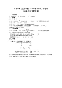 湖南省怀化市雅礼实验学校2023-2024学年九年级下学期入学考试化学试题