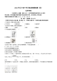 辽宁省沈阳市于洪区2023-2024学年九年级下学期开学化学试题()