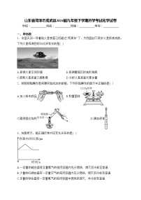 山东省菏泽市成武县2024届九年级下学期开学考试化学试卷(含答案)