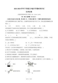 辽宁省沈阳市南昌初级中学2023-2024学年九年级下学期开学考试化学试卷