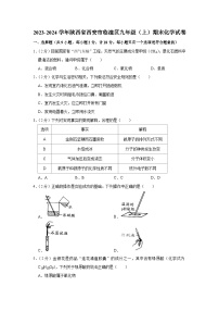 2023-2024学年陕西省西安市临潼区九年级（上）期末化学试卷