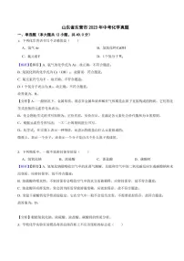山东省东营市2023年中考化学试题（附真题解析）