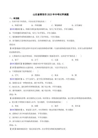 山东省青岛市2023年中考化学试题（附真题解析）