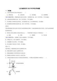 山东省泰安市2023年中考化学试题（附真题解析）