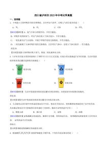 四川省泸州市2023年中考化学试题（附真题解析）