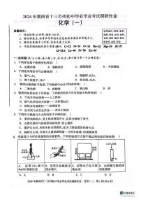 2024年湖南省邵阳市新邵县一模化学试题